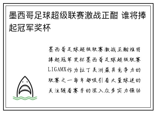 墨西哥足球超级联赛激战正酣 谁将捧起冠军奖杯 墨西哥足球超级联赛激战正酣 谁将捧起冠军奖杯